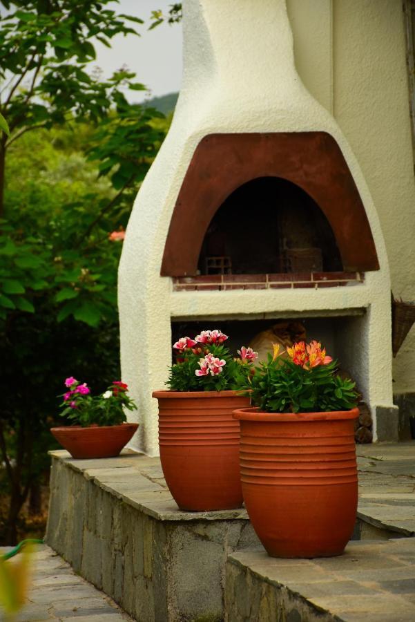 Villa Monte Kariotes Samothráki 외부 사진